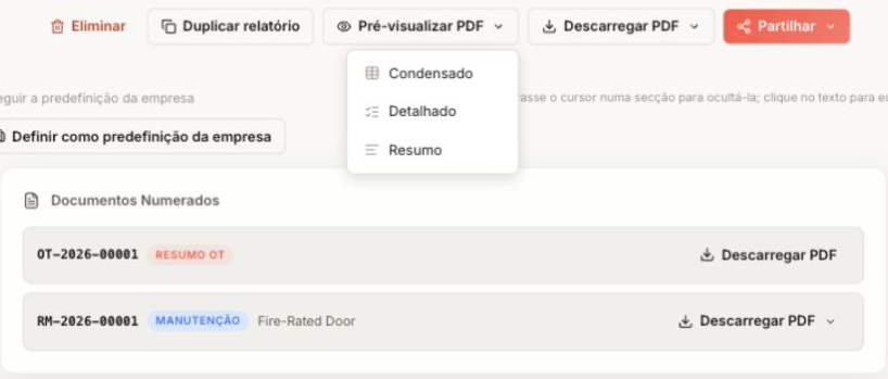Formatos de vista previa y documentos numerados del informe.